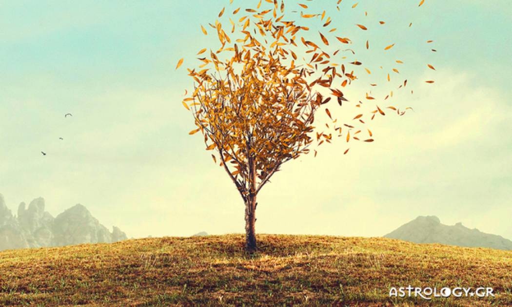 Ημερήσιες Προβλέψεις για όλα τα Ζώδια 12/10
