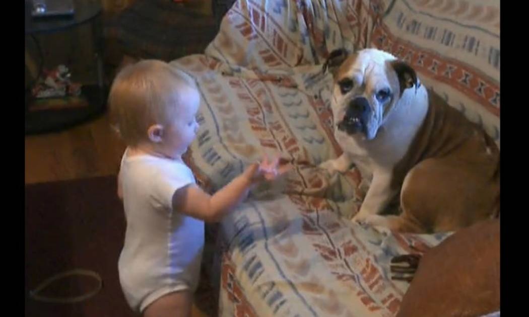 Η φοβερή συνομιλία του μωρού με το bulldog
