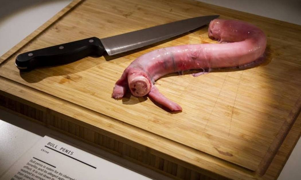 Το Μουσείο Αηδιαστικού Φαγητού άνοιξε στη Σουηδία και προκαλεί… ναυτία στους επισκέπτες του