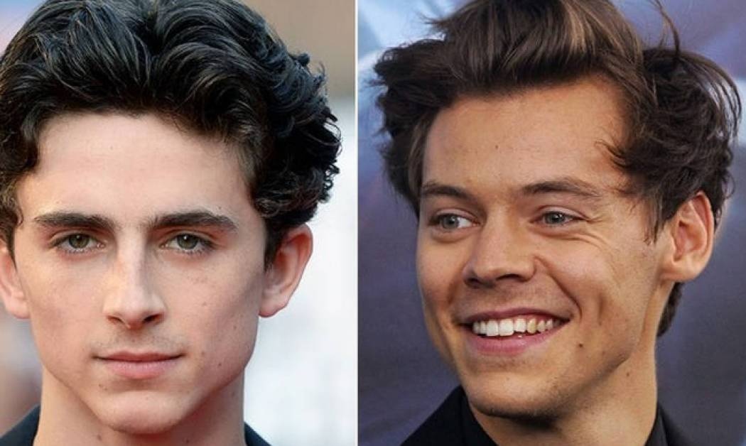 Ο Χάρι Στάιλς και ο Τίμοθι Σάλαμε μιλούν για τη σύγχρονη αρρενωπότητα