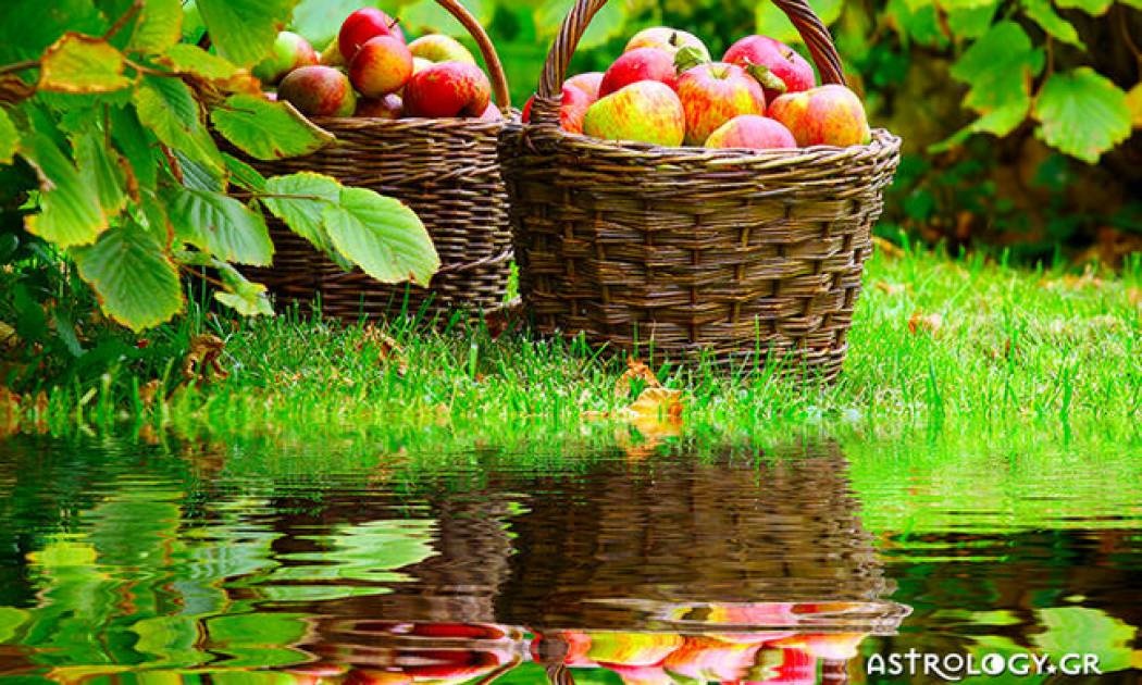 Ημερήσιες Προβλέψεις για όλα τα Ζώδια 12/11