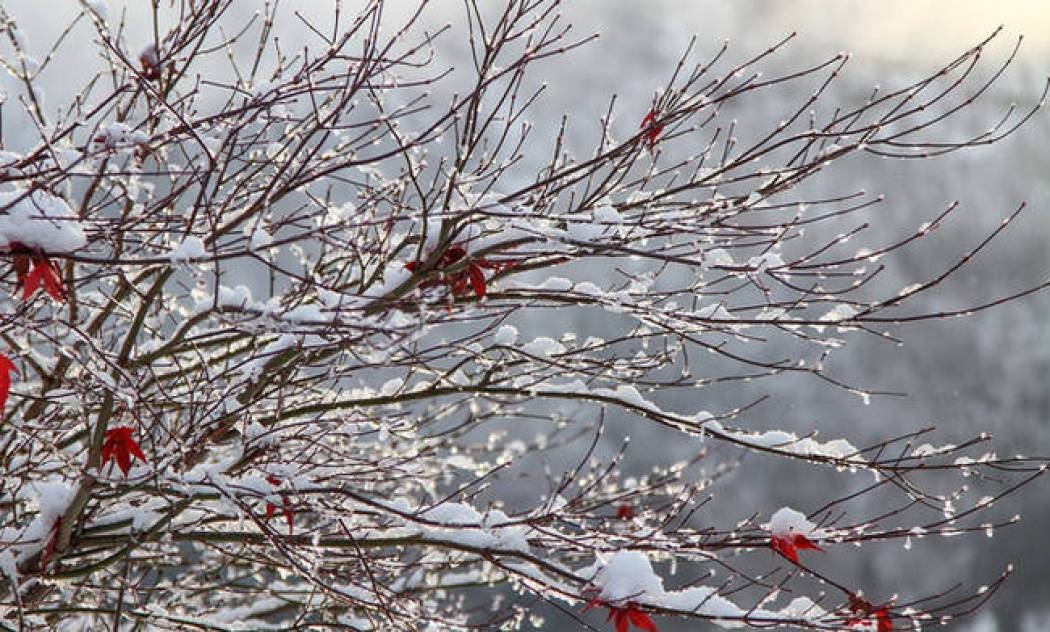 Η ΕΜΥ ενημερώνει: Με τι καιρό θα κάνουμε Χριστούγεννα