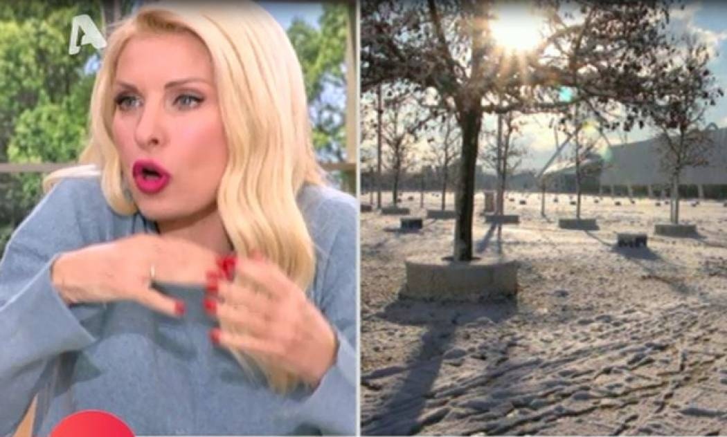 Ελένη: Ο διάλογος με το παιδί της – Της ζήτησε  να κάνει κοπάνα για να παίξουν με το χιόνι