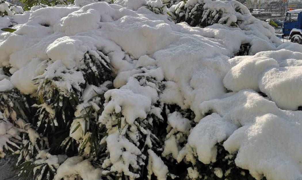 Η εξέλιξη του καιρού τις επόμενες ώρες και το νέο κύμα κακοκαιρίας... (video)