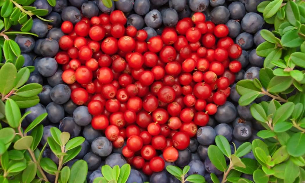 Διατροφή για την καρδιά: Πόσο μειώνει και τον κίνδυνο διαβήτη