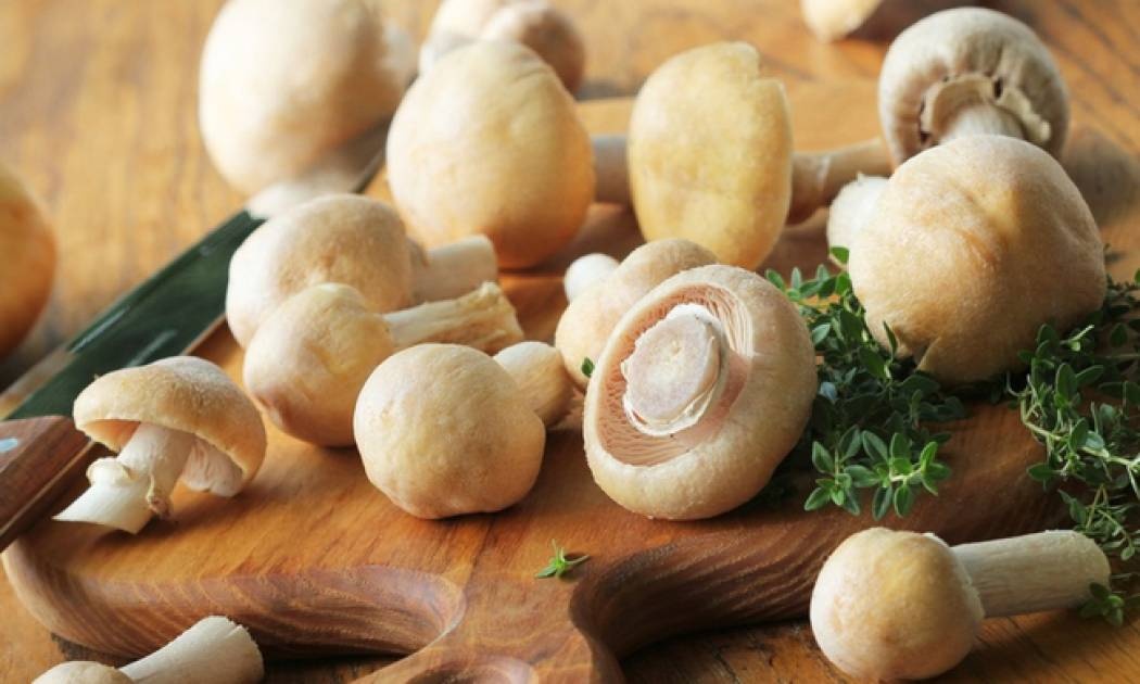 Πόσο υγιεινά είναι τα μανιτάρια; Οι ειδικοί απαντούν (video)