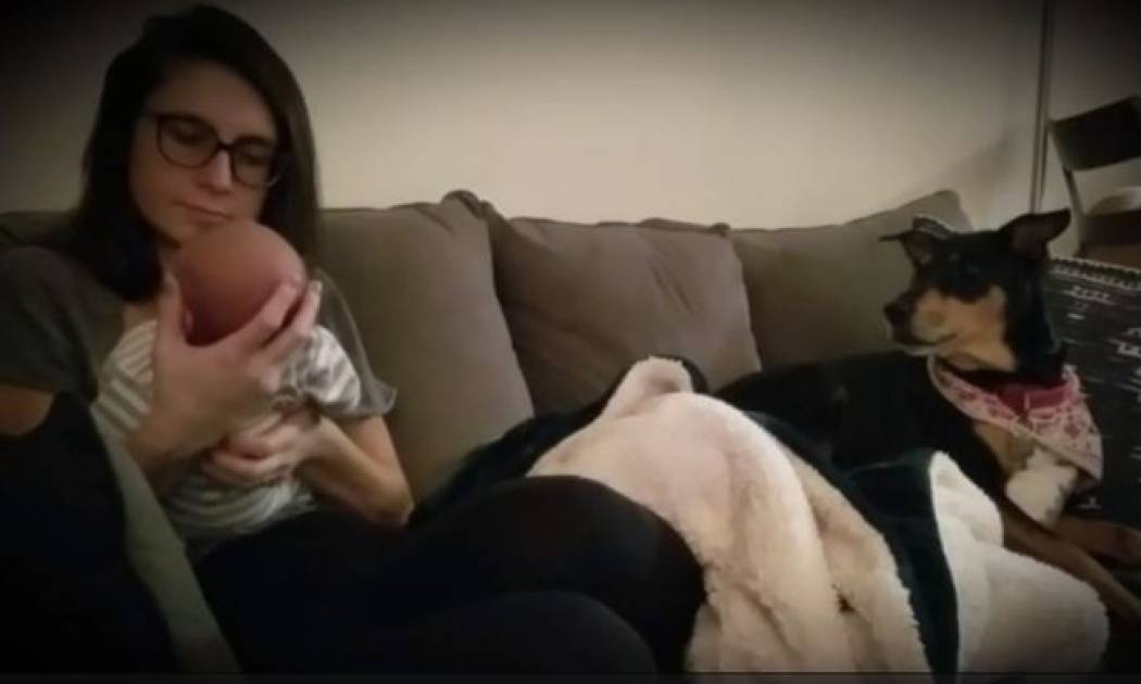 Απίστευτη η αντίδραση του σκύλου - Ζηλεύει ακόμα και το κλάμα του μωρού