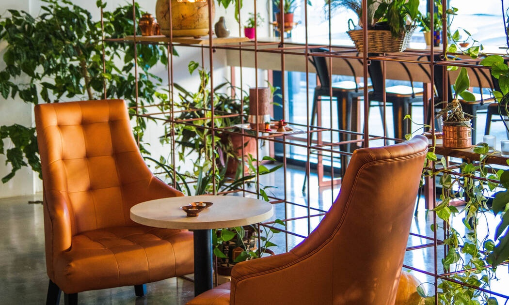 20 ιδέες που μπορούν να δώσουν στα φυτά σου μια νέα πνοή