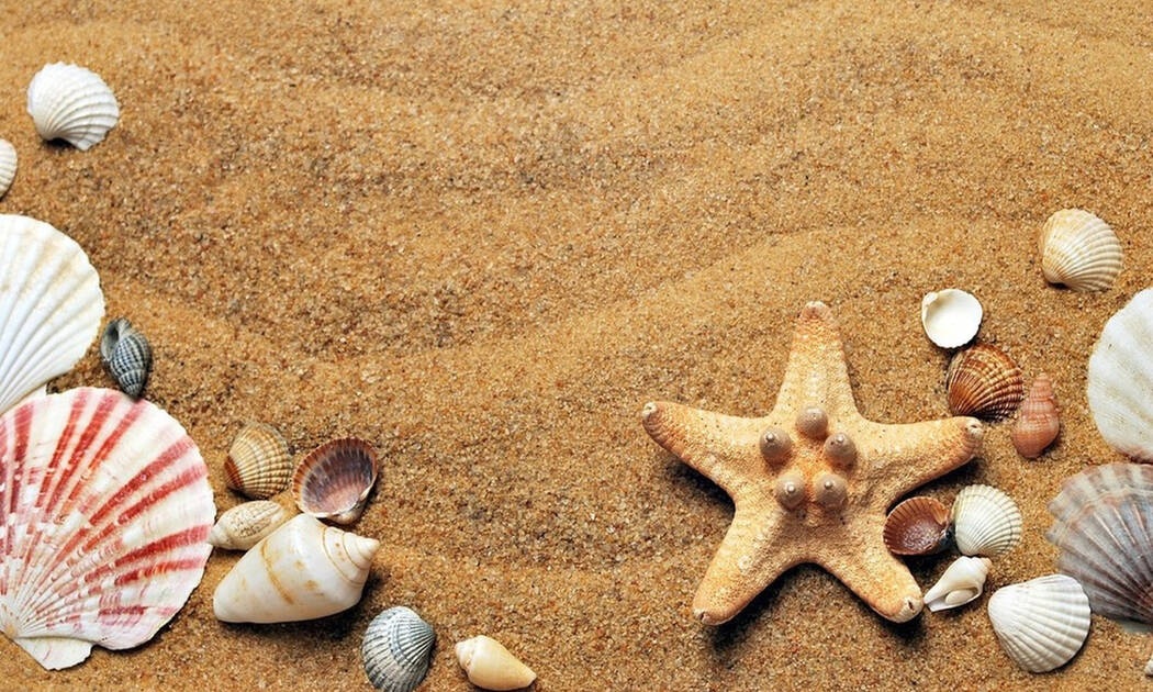 ΟΑΕΔ Κοινωνικός Τουρισμός 2019: Δείτε ΕΔΩ πώς θα κάνετε δωρεάν διακοπές