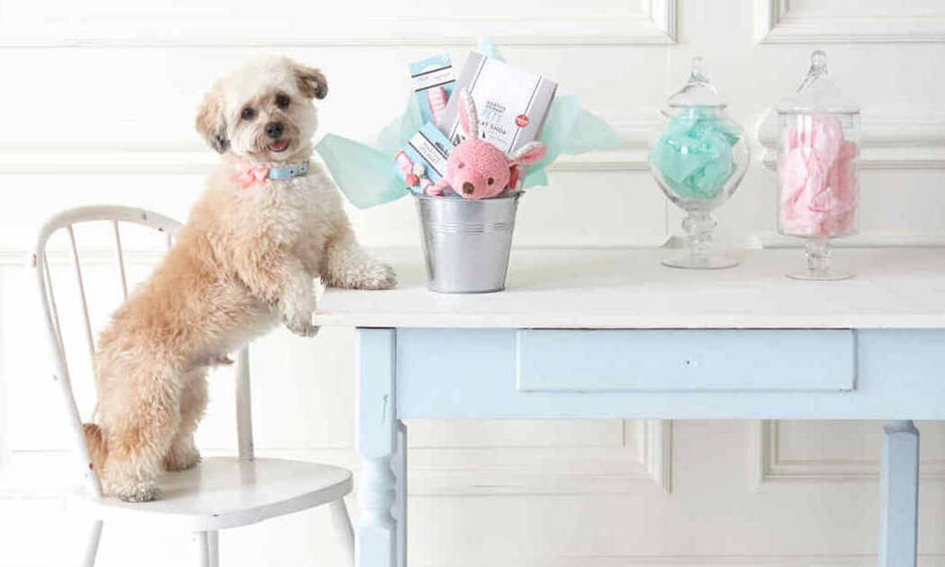 Ιδέες για τα ωραιότερα πασχαλινά καλάθια που μπορείς να κάνεις δώρο στους αγαπημένους σου