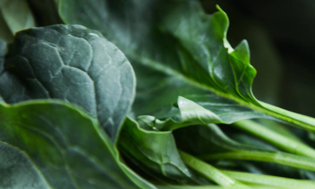 Πράσινα λαχανικά: η ασπίδα για τον οργανισμό σου