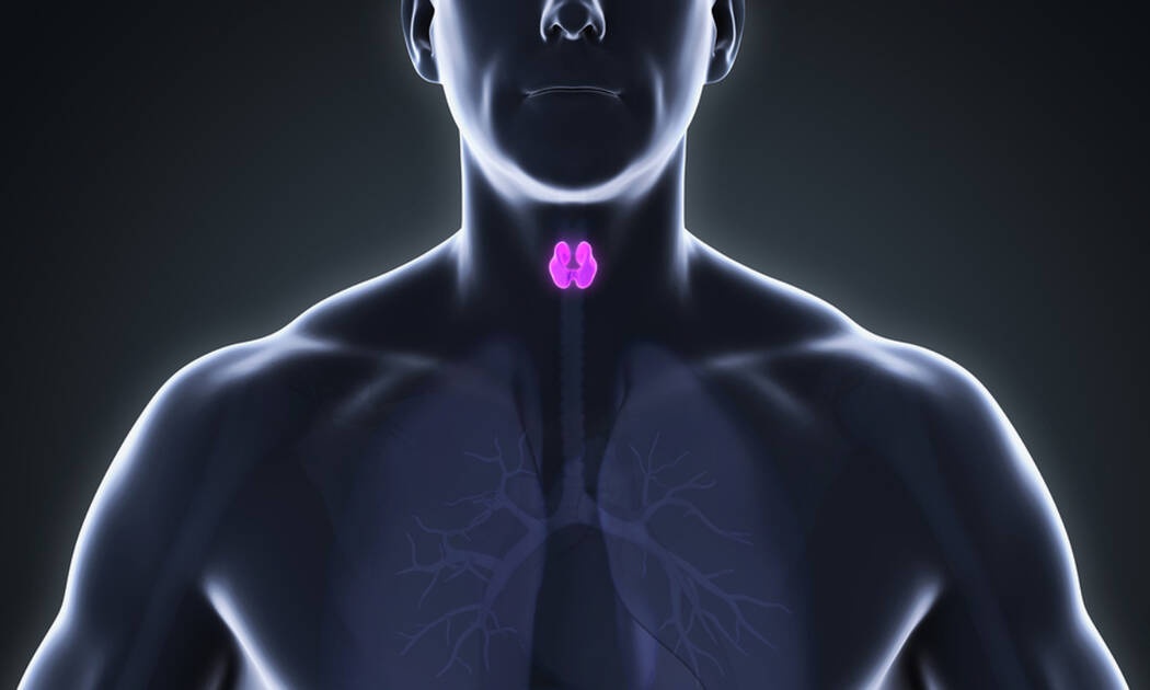 Θυρεοειδής: Πότε επιβαρύνει τη λειτουργία της καρδιάς