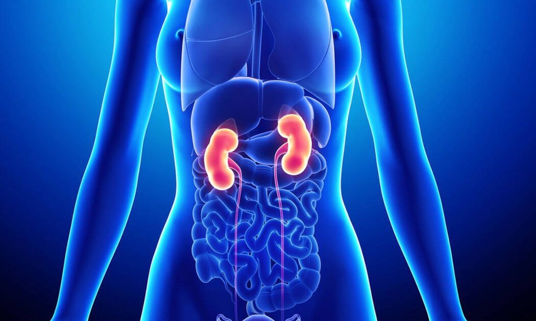 5 παθήσεις που απειλούν τα νεφρά (εικόνες)