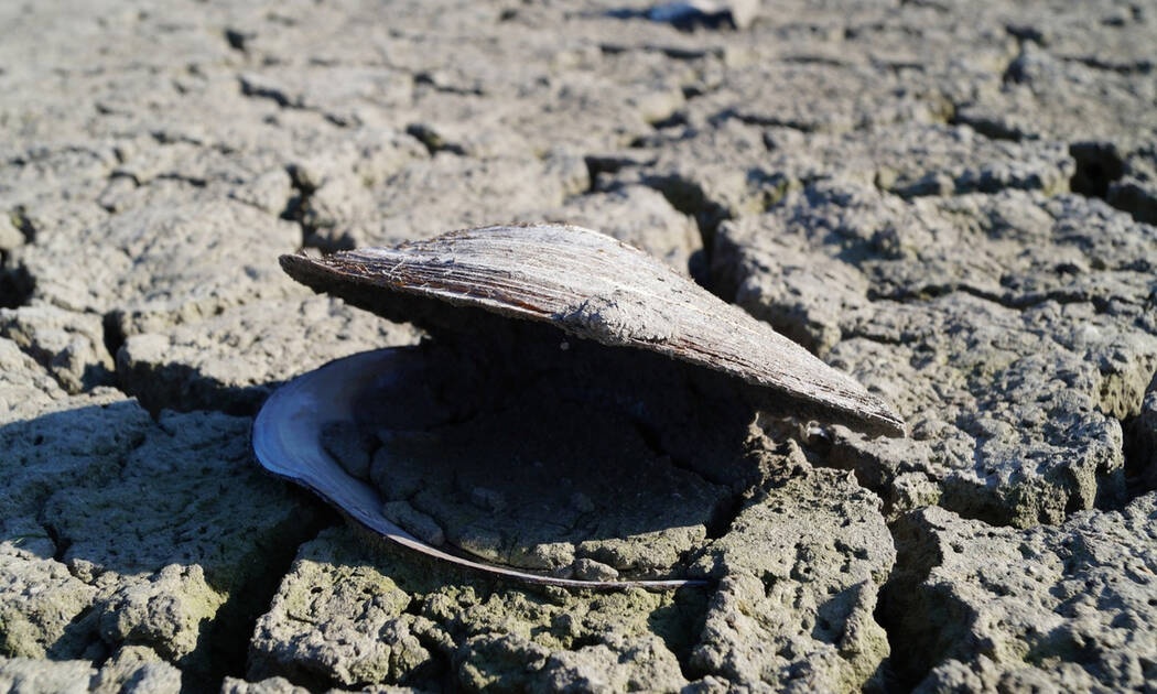Συναγερμός από τους επιστήμονες - Τι απειλεί την Ελλάδα
