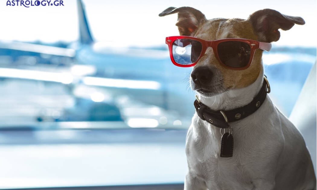 Ένα ενδιαφέρον ταξίδι με το αεροπλάνο!