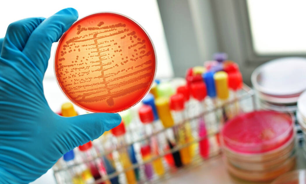 Σηψαιμία: 11 επικίνδυνα συμπτώματα σε εικόνες