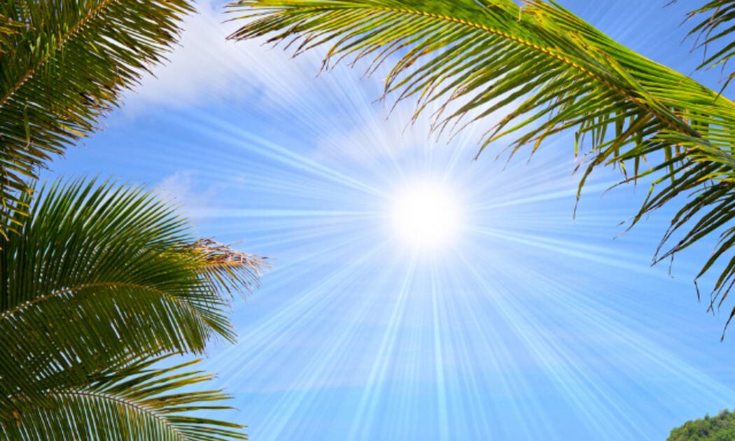 Ημερήσιες Προβλέψεις για όλα τα Ζώδια 23/07