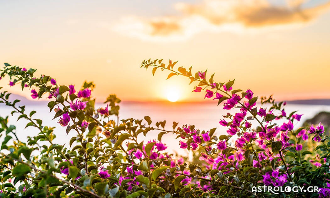 Ημερήσιες Προβλέψεις για όλα τα Ζώδια 24/07