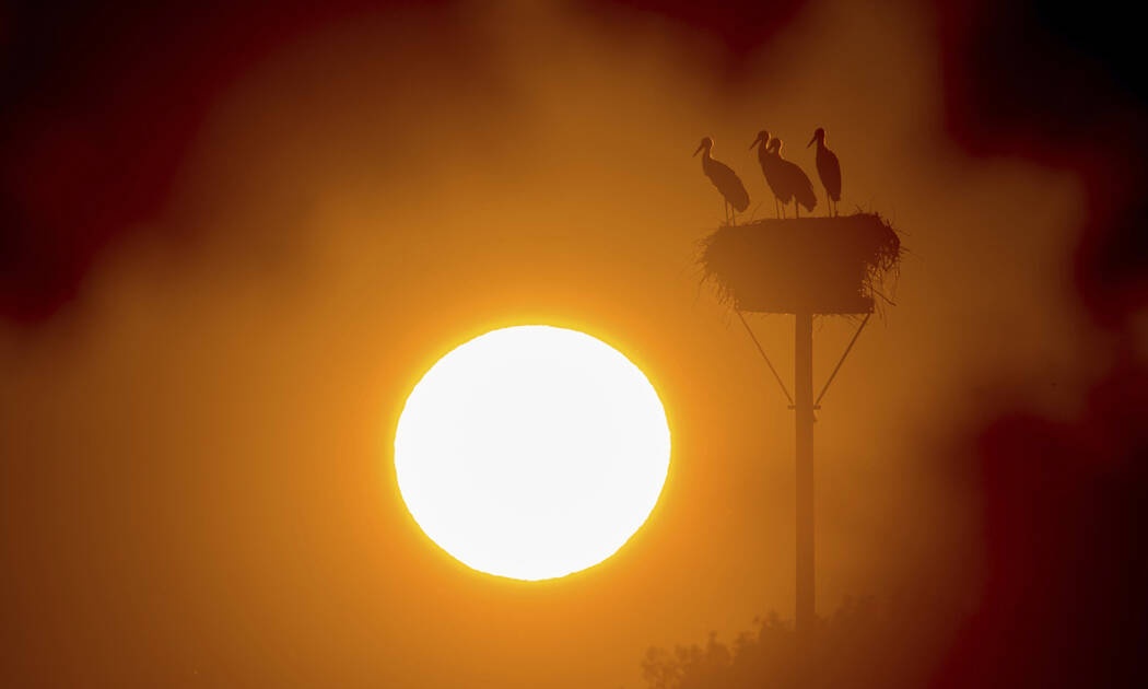 Έκτακτο δελτίο επιδείνωσης του καιρού: «Καμίνι» και πάλι η χώρα - Έρχεται κύμα καύσωνα