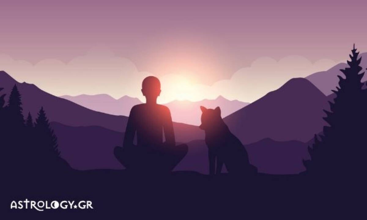 Σήμερα 13/08: Συντήρηση δυνάμεων