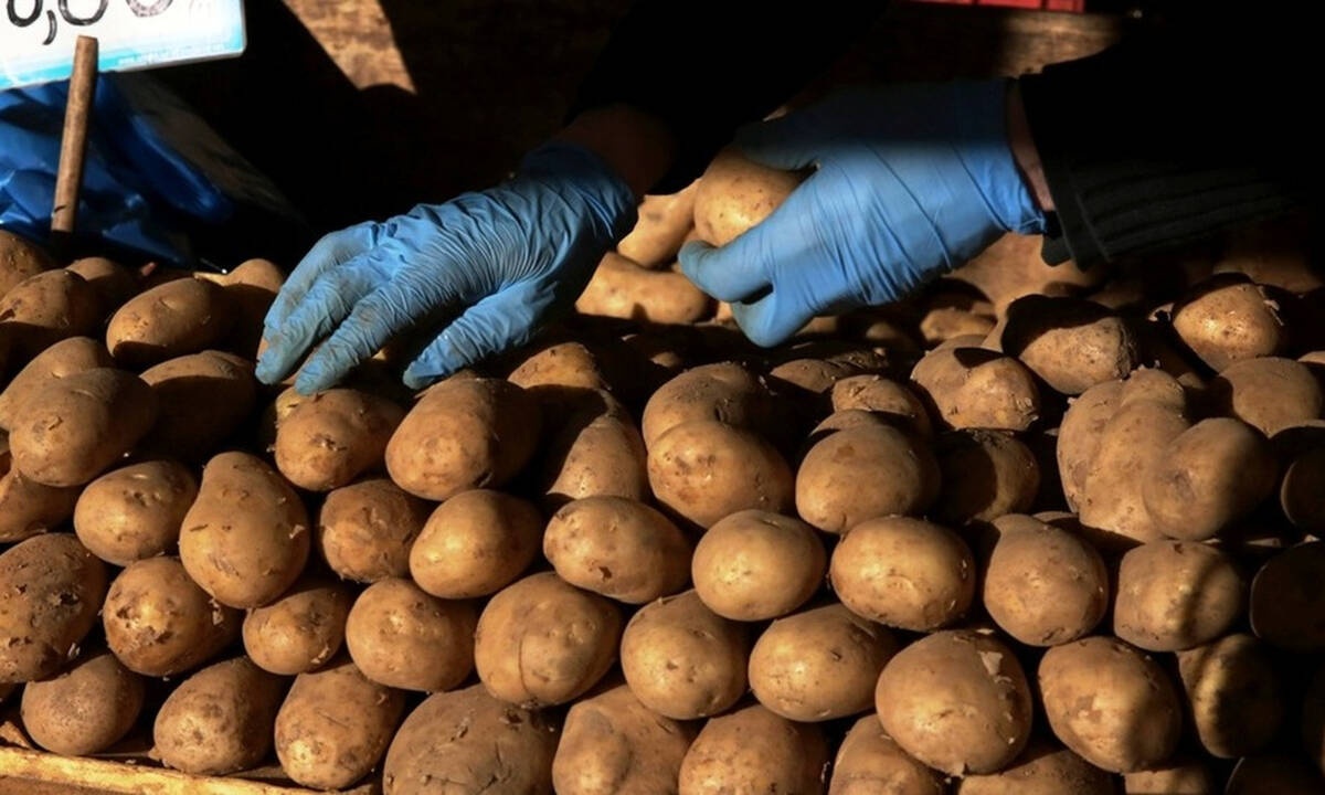 Θεσπρωτία: Πρόστιμο 21.000 ευρώ σε καφενείο - Την πάτησαν... νύφη και συμπεθέρα!