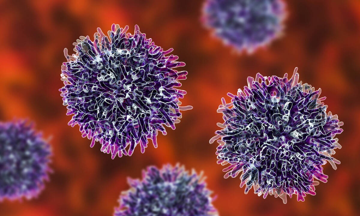 6 τροφές που μειώνουν τον κίνδυνο καρκίνου (εικόνες)