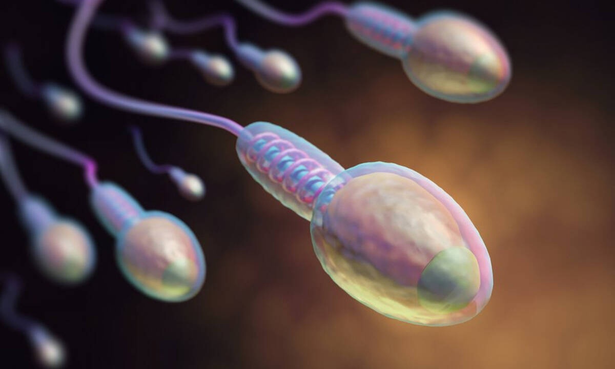 Αίμα στο σπέρμα: 8 πιθανές αιτίες (εικόνες)