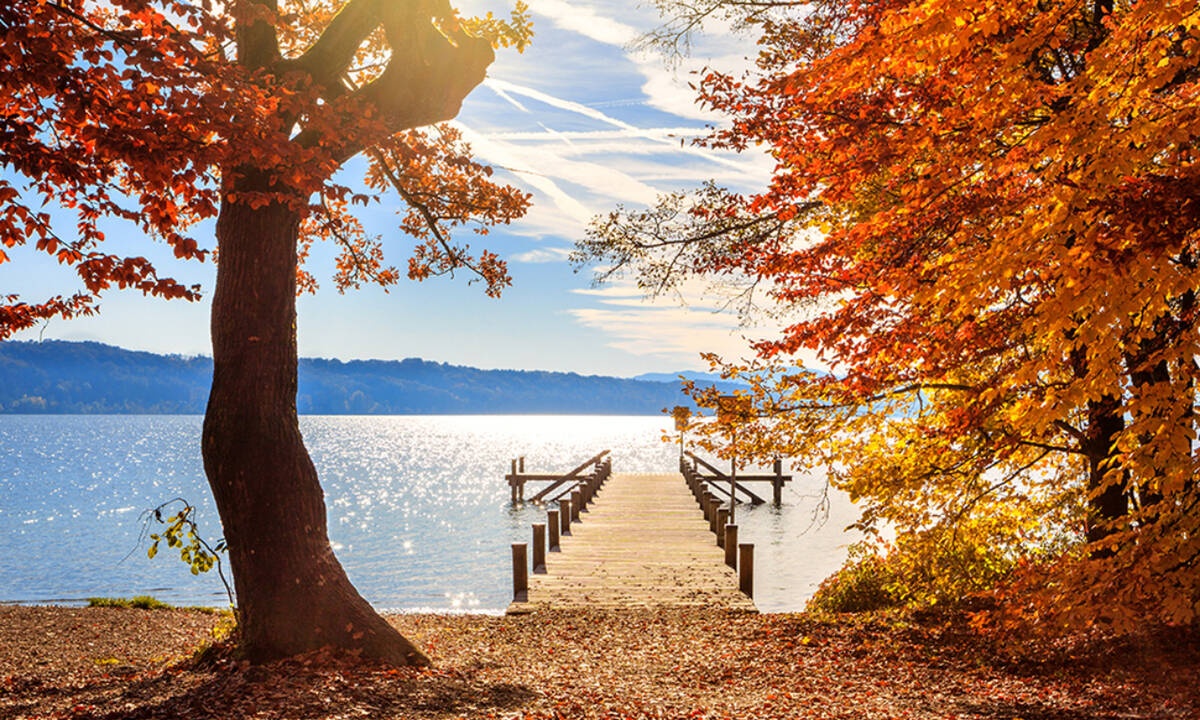 Ημερήσιες Προβλέψεις για όλα τα Ζώδια 11/09
