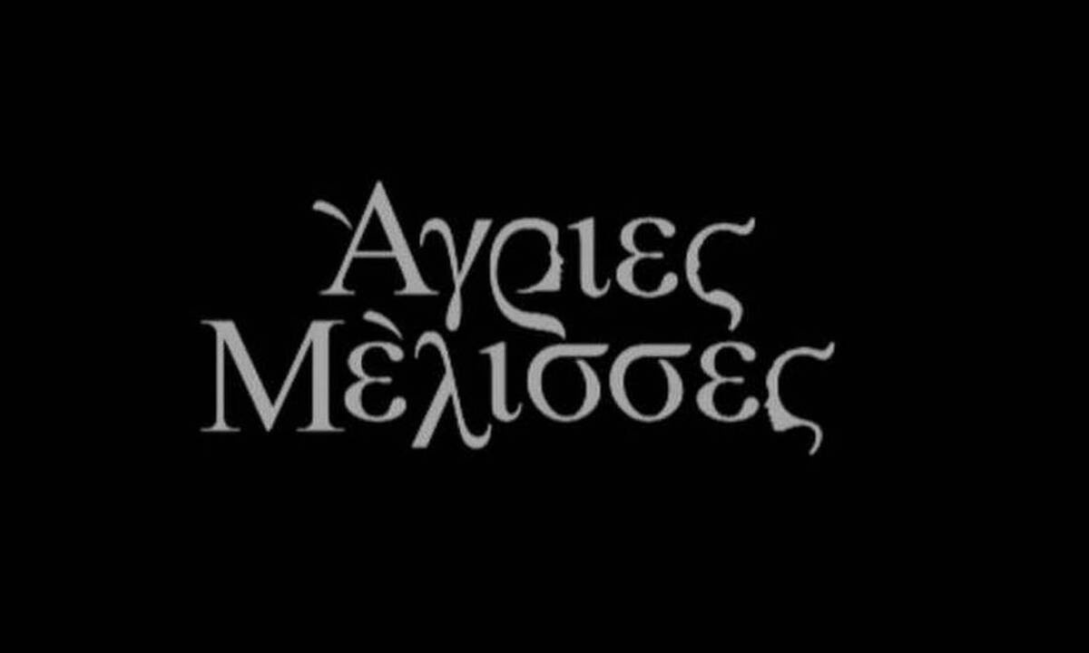 «Άγριες Μέλισσες»: Οι ήρωες που θα μας απασχολήσουν στη νέα σειρά του ΑΝΤ1 και όσα θα δούμε (photos)