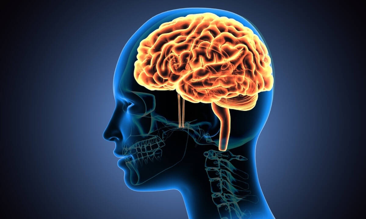 Εξέταση μνήμης: Μπορεί να προλάβει το Αλτσχάιμερ;