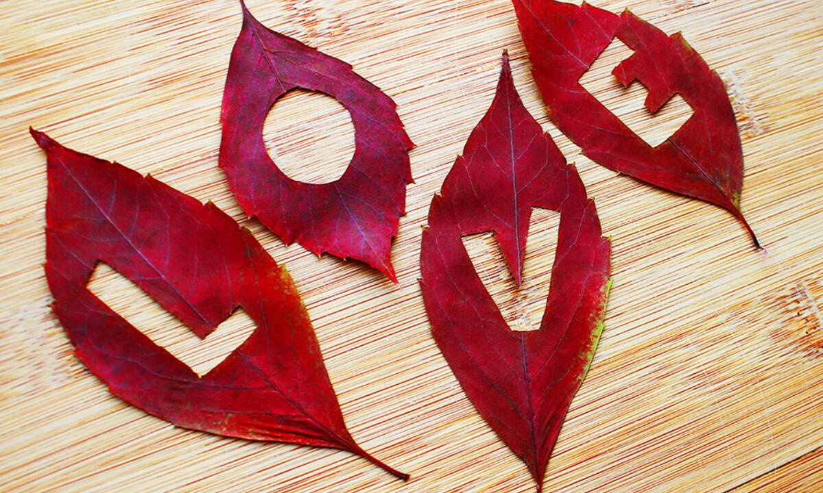 Ερωτικές Προβλέψεις για όλα τα Ζώδια, 01/10