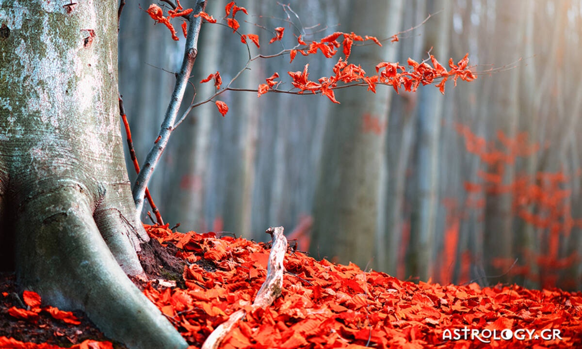 Ημερήσιες Προβλέψεις για όλα τα Ζώδια 03/10