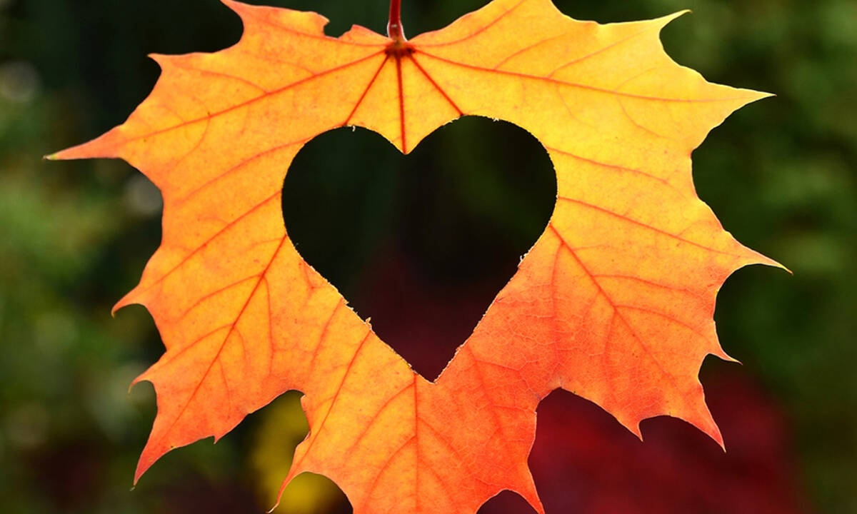 Ερωτικές Προβλέψεις για όλα τα Ζώδια, 07/10