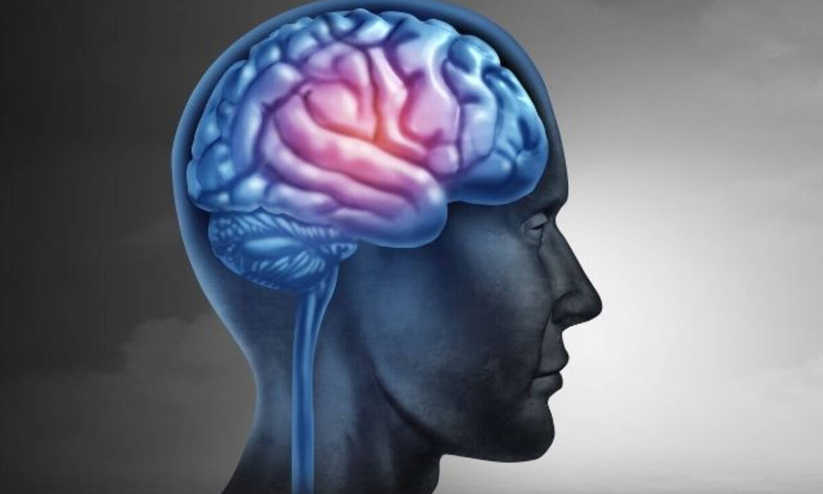 Έχεις μνήμη ελέφαντα ή χρυσόψαρου; Το ζώδιό σου το καθορίζει