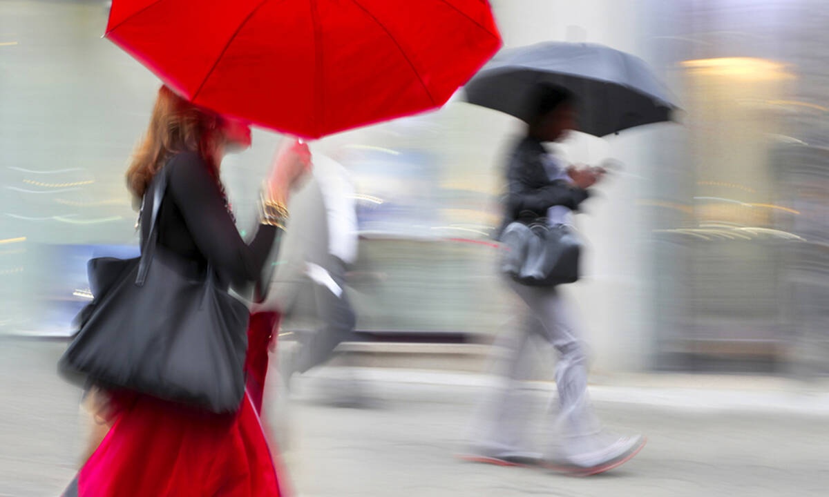Ημερήσιες Προβλέψεις για όλα τα Ζώδια 05/11