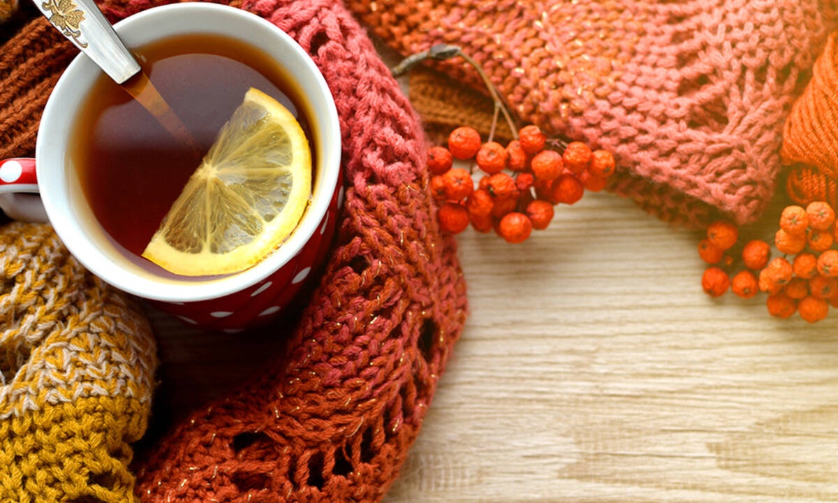 Ημερήσιες Προβλέψεις για όλα τα Ζώδια 06/11