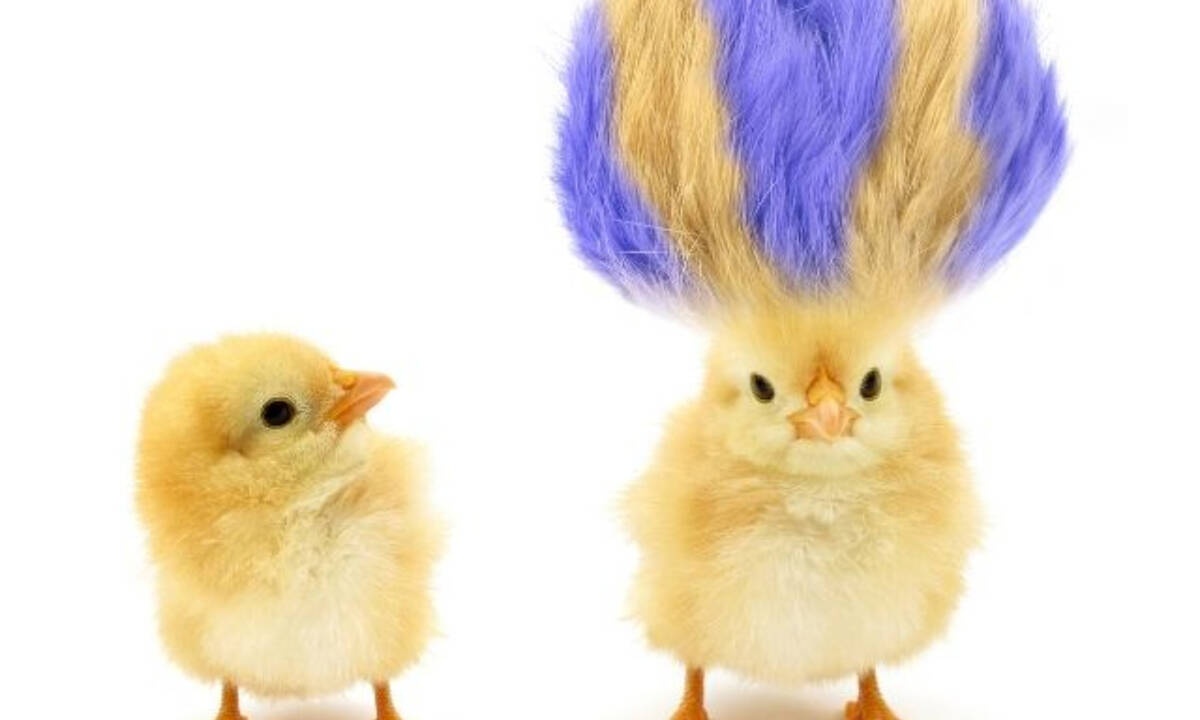 Ψήφισε και πες μας: Ποιο ζώδιο είναι το πιο… αλλοπρόσαλλο;