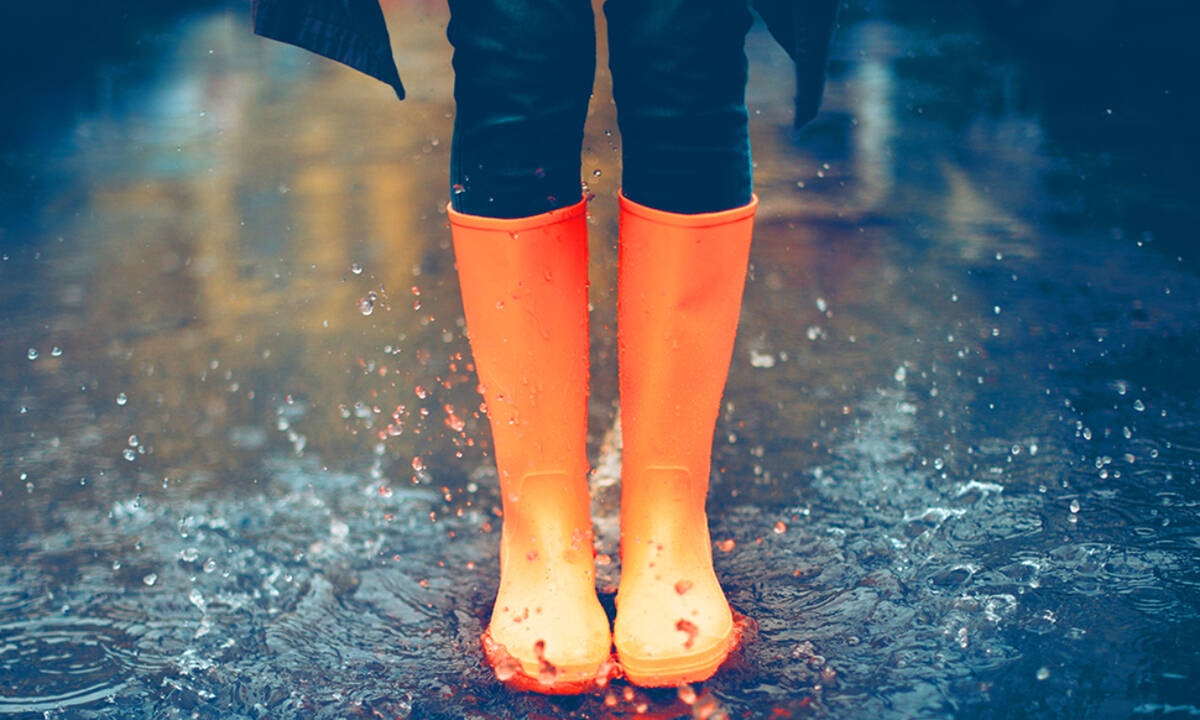 Ημερήσιες Προβλέψεις για όλα τα Ζώδια 13/11