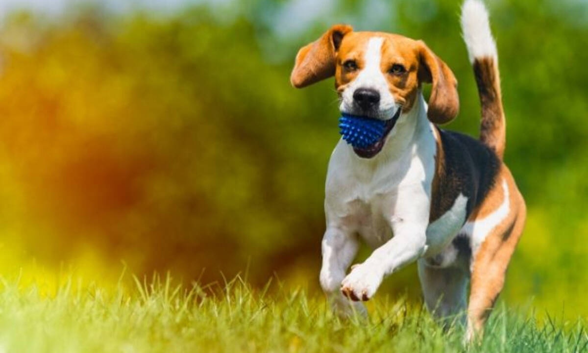 Σήμερα 21/11: Τρέχουμε τώρα…