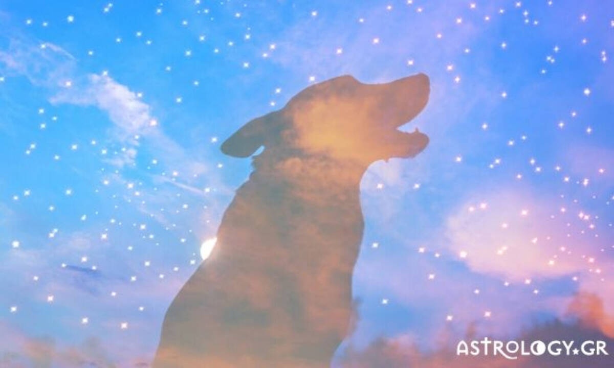 Οι 4 «μοναχικοί λύκοι» του ζωδιακού!