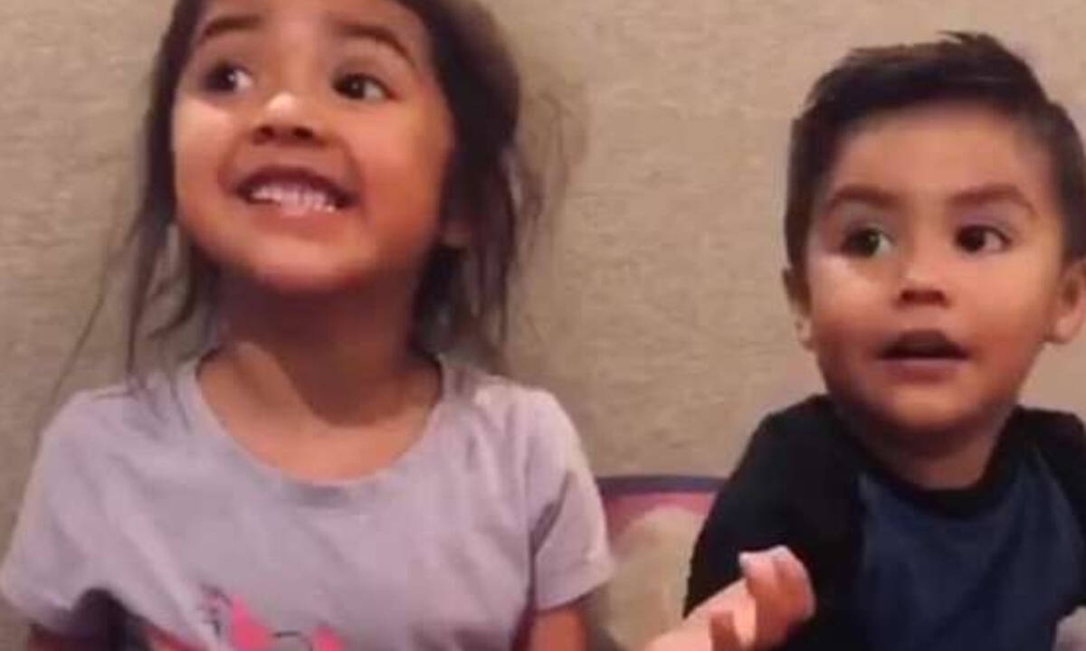 Μαθαίνουν ότι θα αποκτήσουν δίδυμα αδέλφια και η αντίδρασή τους είναι απρόβλεπτη (vid)