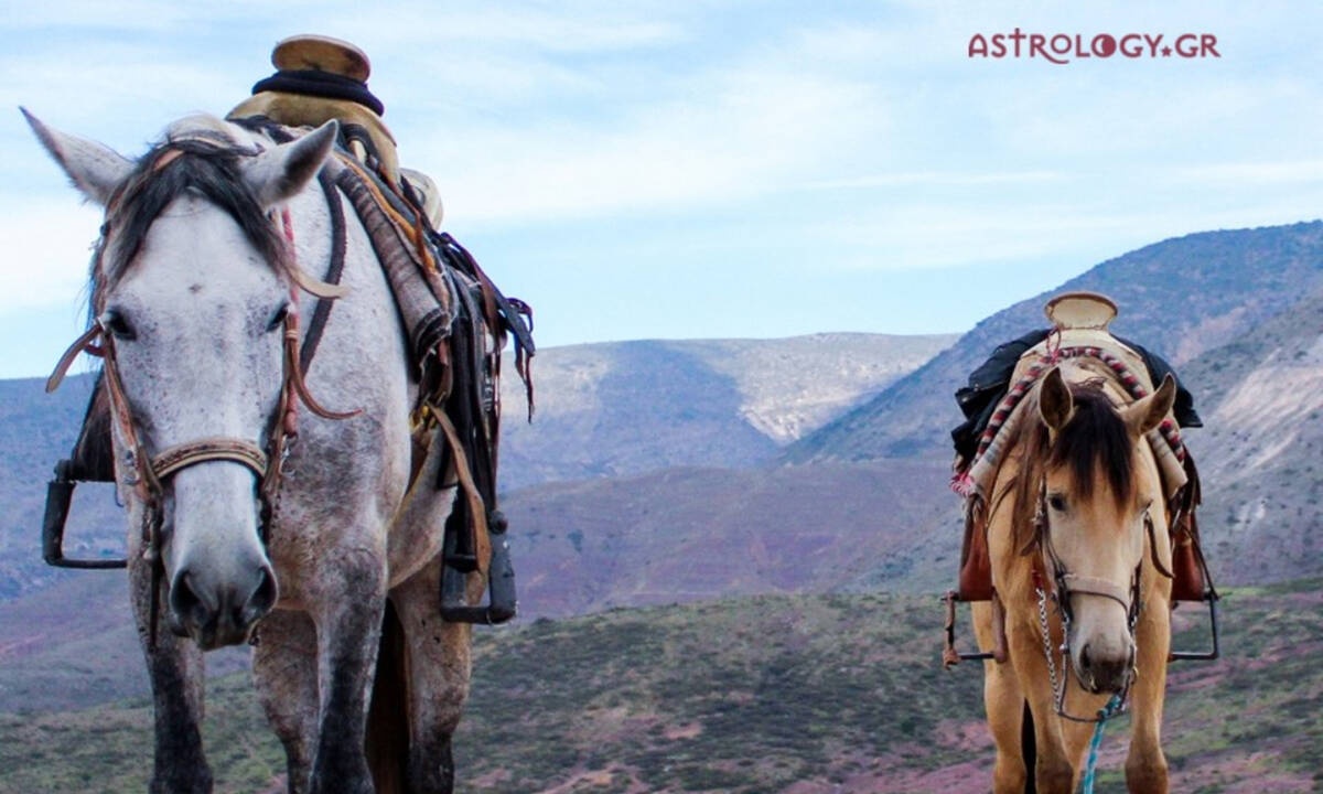 Αυτά τα ζώδια έχουν απεριόριστη υπομονή και αντέχουν πολλά!