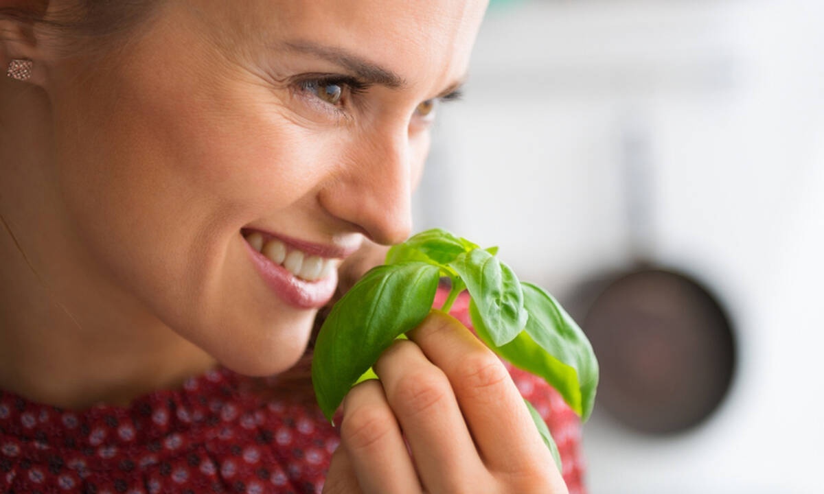 Τα 10 καλύτερα βότανα για να ρίξετε την πίεση (εικόνες)