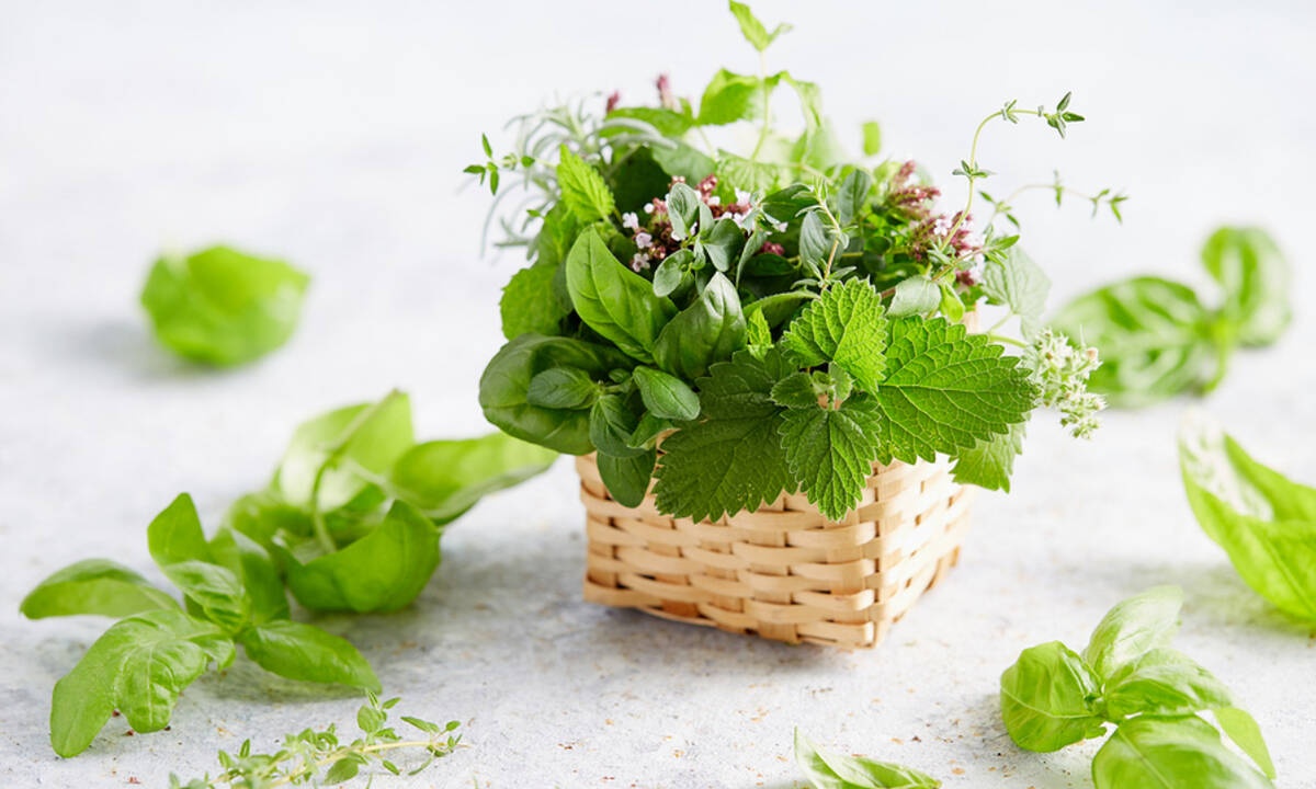 Βότανα και μυρωδικά που διευκολύνουν την απώλεια βάρους (video)