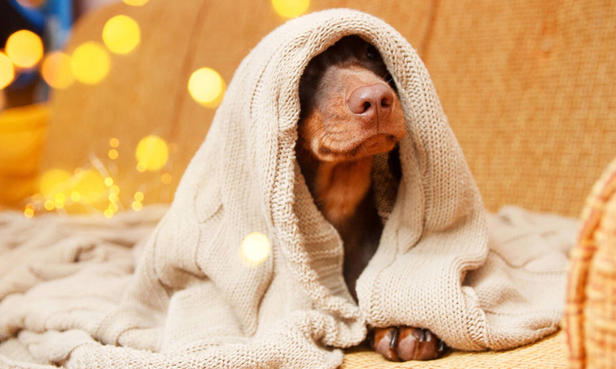 Γιατί τον χειμώνα κοιμόμαστε περισσότερο; – Tips για ποιοτικό ύπνο (εικόνες)