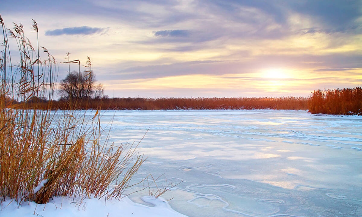 Ημερήσιες Προβλέψεις για όλα τα Ζώδια 01/02