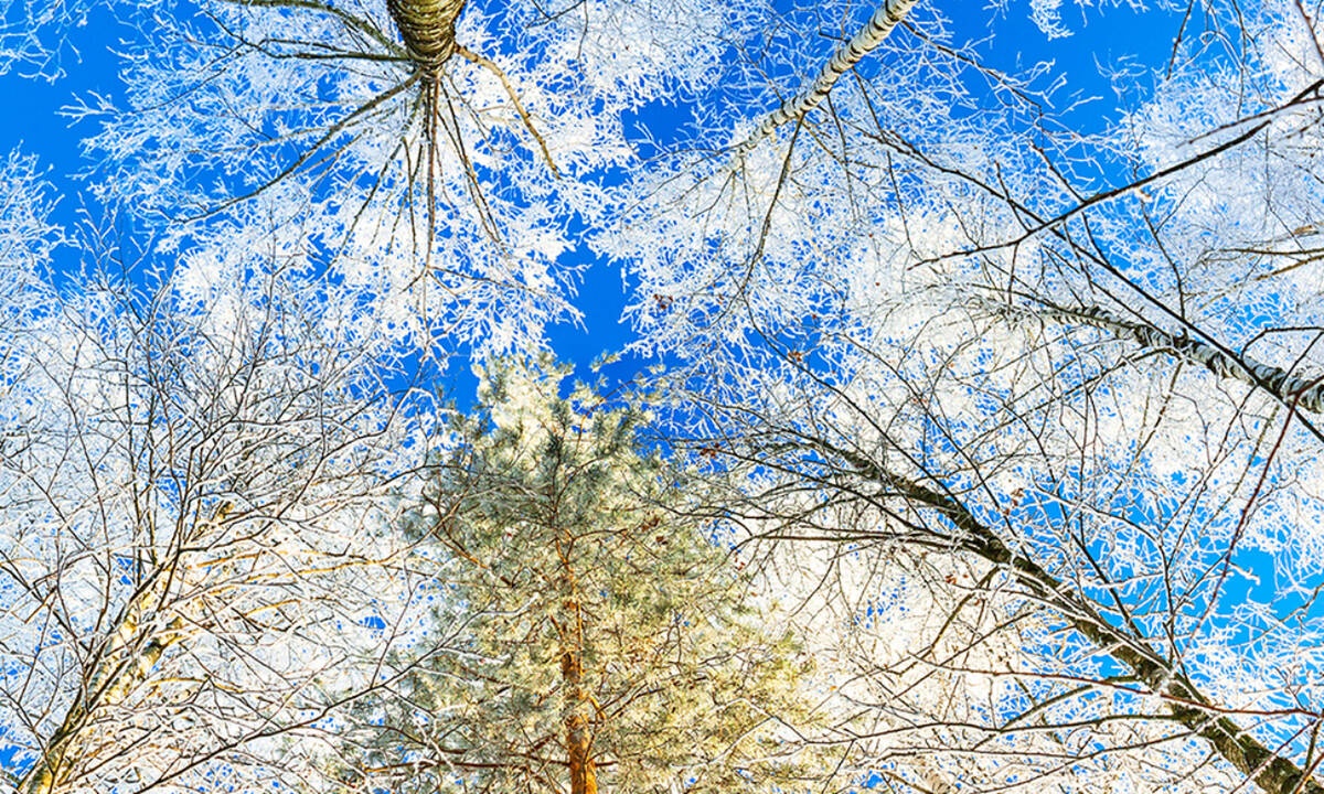 Ημερήσιες Προβλέψεις για όλα τα Ζώδια 03/02