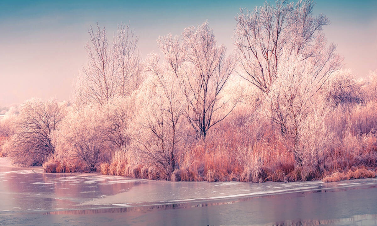 Ημερήσιες Προβλέψεις για όλα τα Ζώδια 11/02