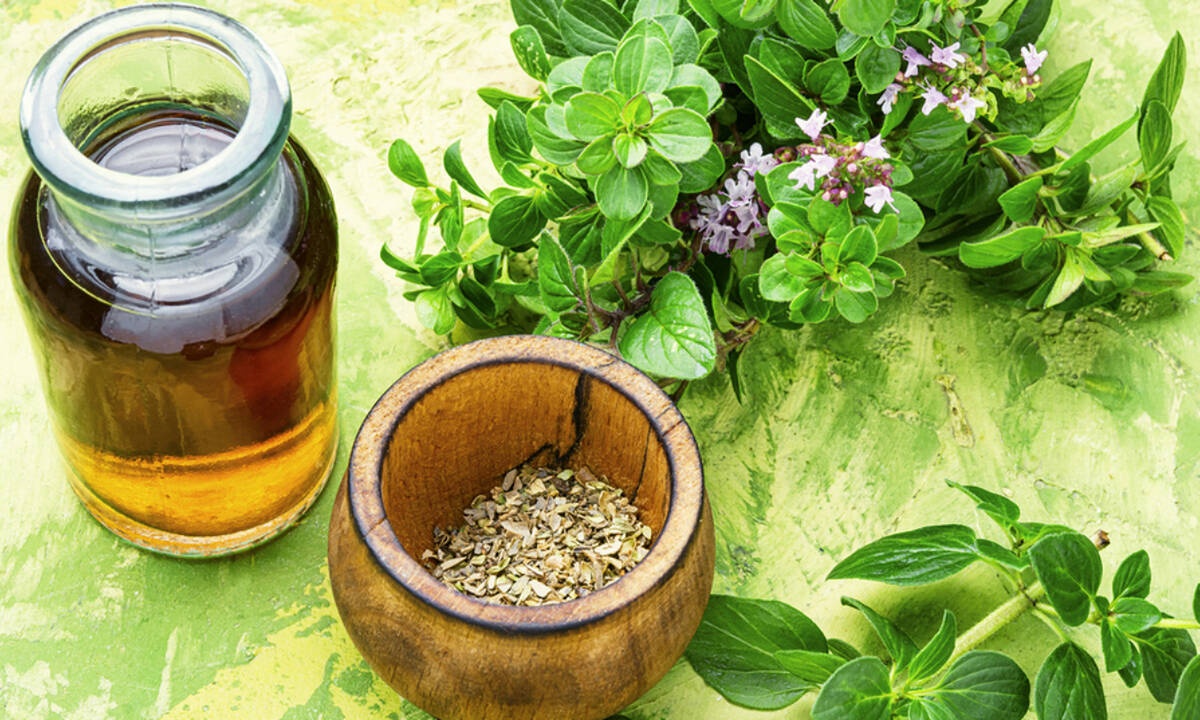 Έλαιο ρίγανης: Τα εκπληκτικά οφέλη του για την υγεία (εικόνες)