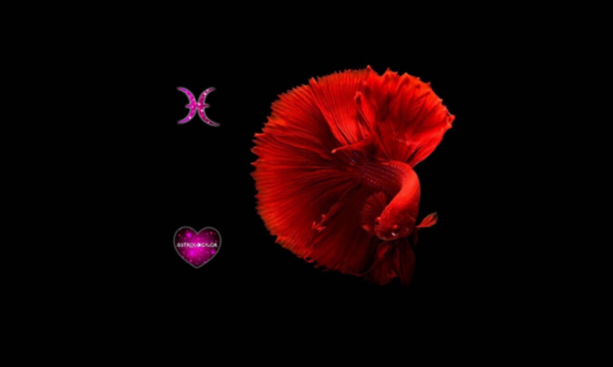 Πέντε πράγματα που γοητεύουν έναν Ιχθύ